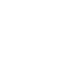 shield (1)